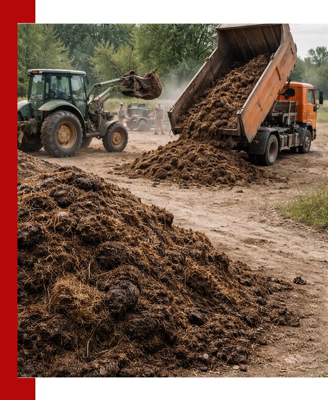 Доставка навоза самосвалами в Иркутске для сельхозпотребностей